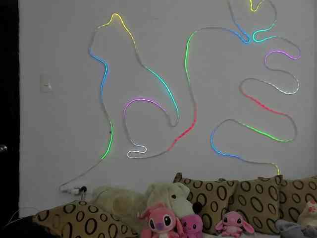 ValeandJuan webcam