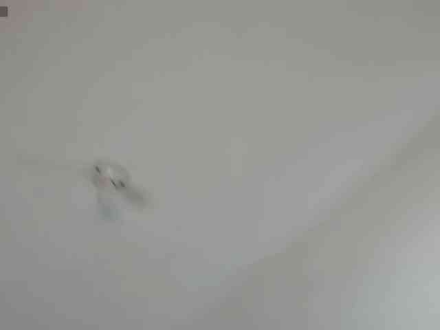 ValeandJuan webcam