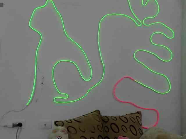 ValeandJuan webcam