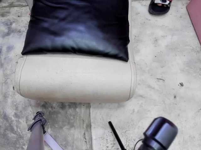 daring-latinaviip live cam on BongaCams