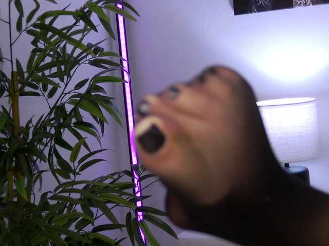 LiliKittenXO
