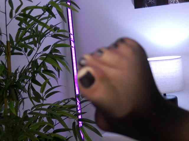 LiliKittenXO webcam