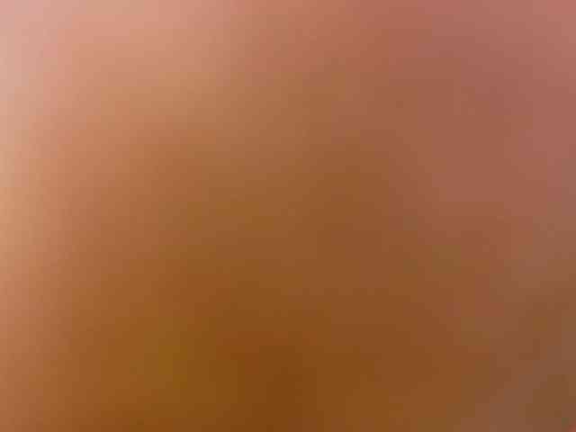 ebony-suggarmommy1 webcam