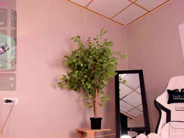 Gentle-Sine webcam