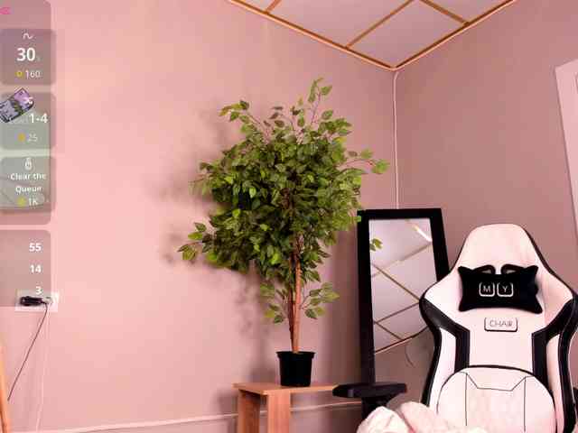 Gentle-Sine webcam