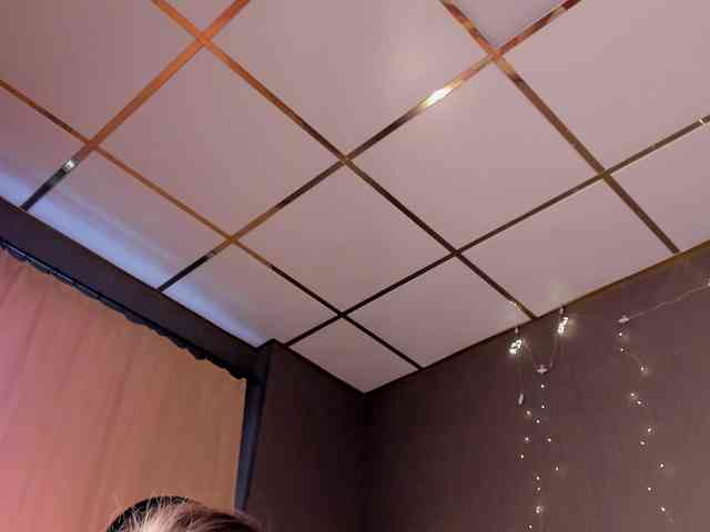 Gentle-Sine webcam