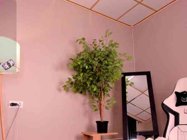 Gentle-Sine webcam