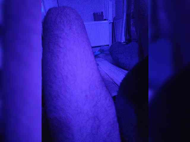 Incognitosexy webcam