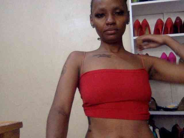 Shiro19 webcam