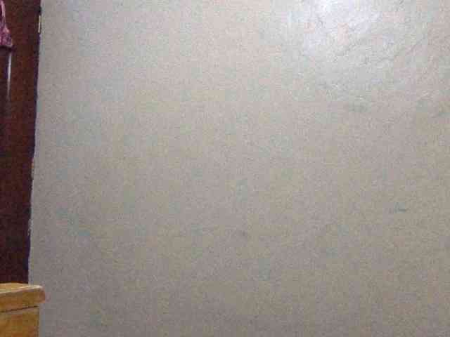 Shiro19 webcam