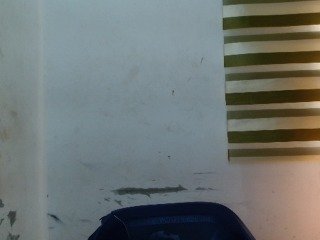 Sexyxcunt Porn Show