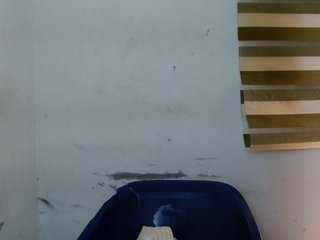 Sexyxcunt's Live Webcam