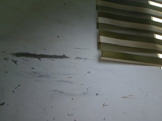 Sexyxcunt's Live Webcam