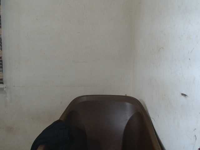 Sexyxcunt live webcam show