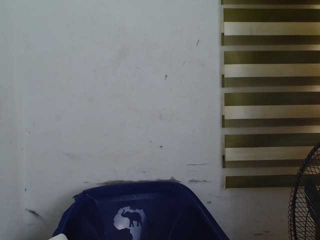 Sexyxcunt live cam on BongaCams