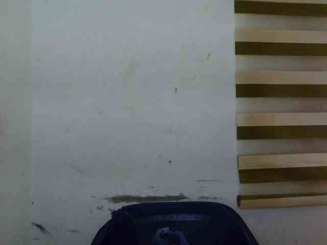 Sexyxcunt webcam