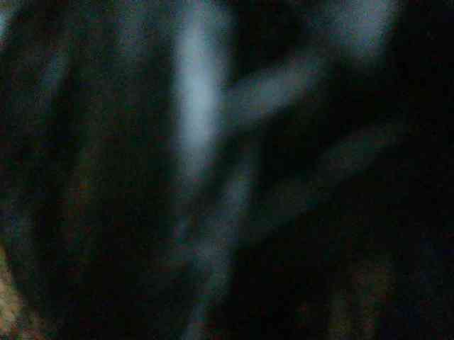 Rusteed13 webcam