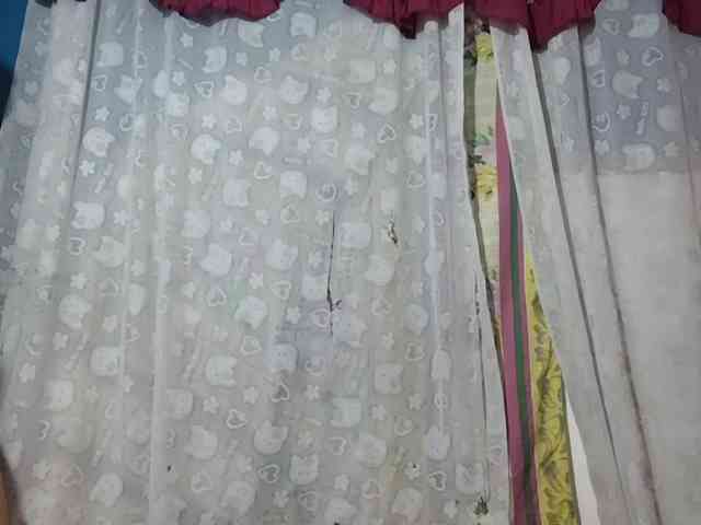 SophiaAllTheWay webcam