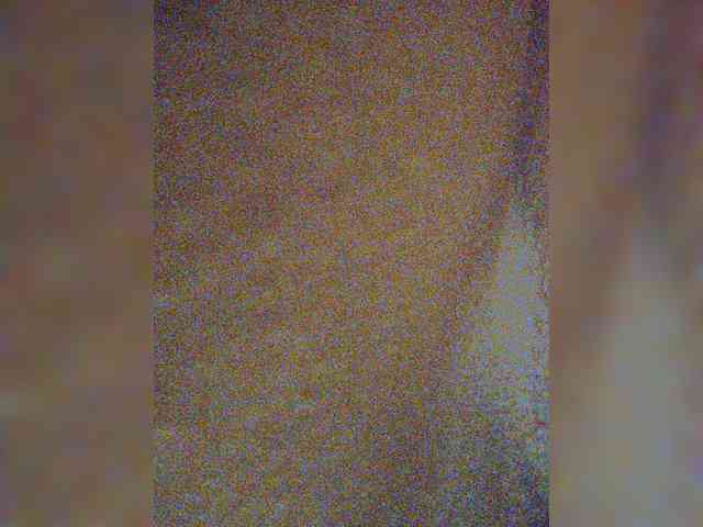 MikaAlex webcam