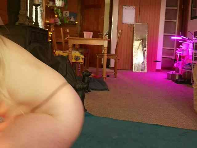 SashaJane webcam