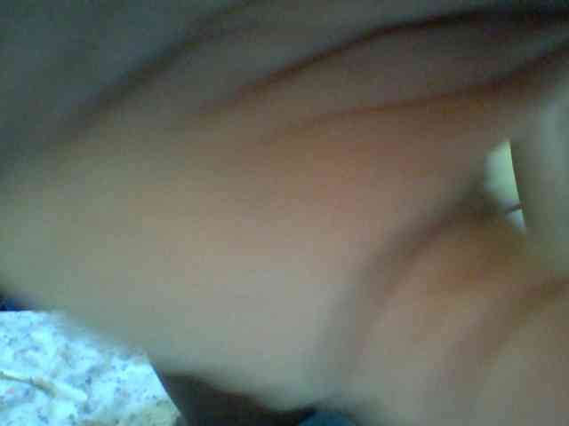 Blackfoxb webcam