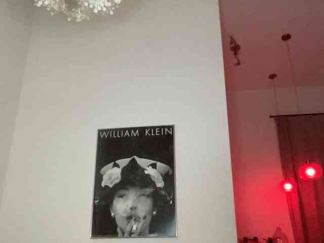 kissPIP webcam