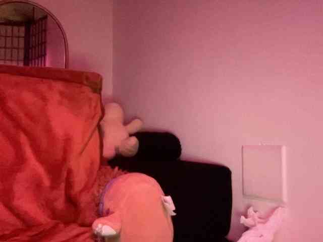 kissPIP webcam