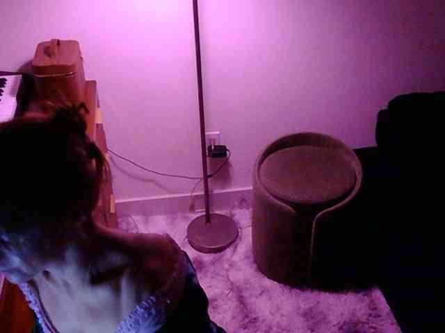 kissPIP webcam