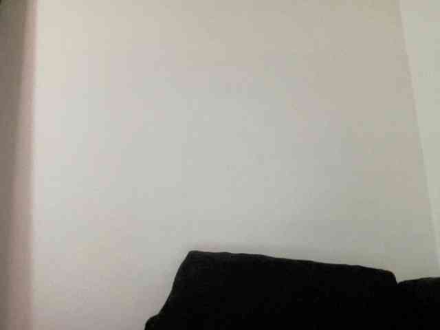 kissPIP webcam