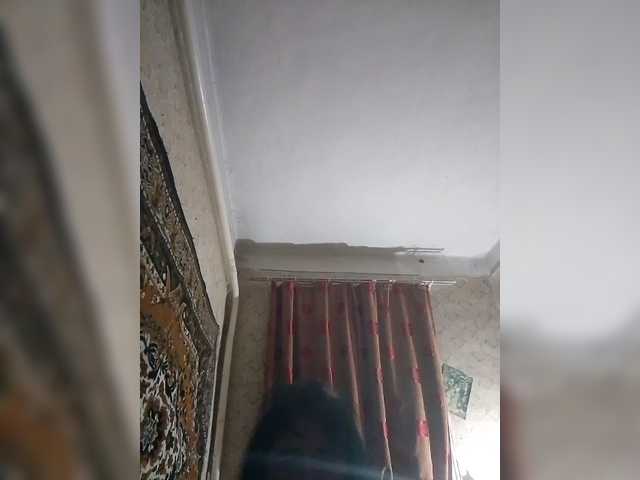 alondra1557
