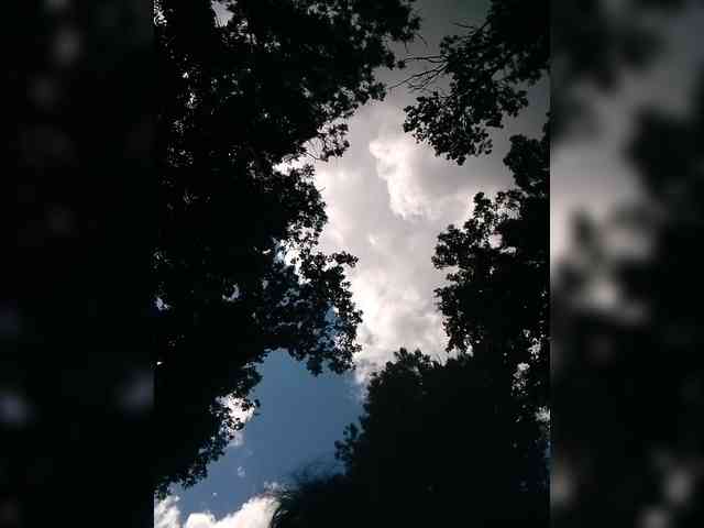 alondra1557 webcam