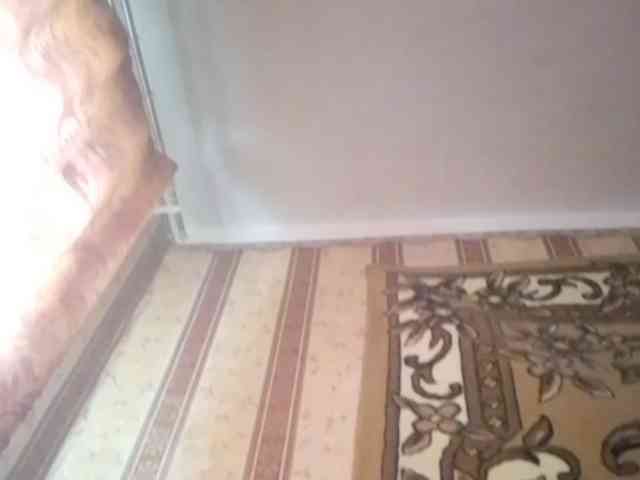 alondra1557 webcam