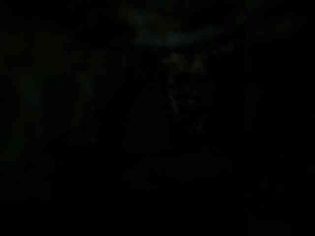 Darinaray9 webcam