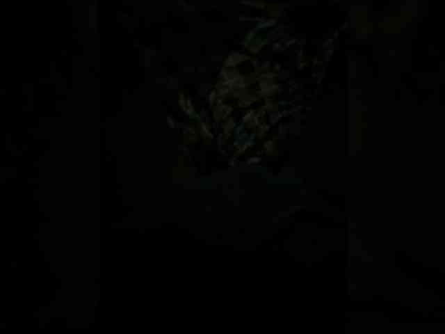 Darinaray9 webcam