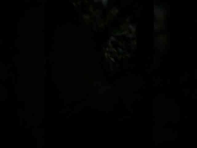 Darinaray9 webcam
