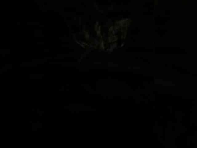 Darinaray9 webcam