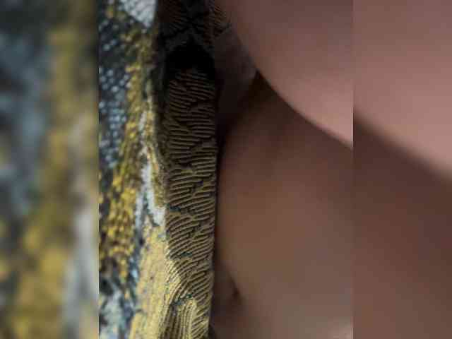 Darinaray9 webcam