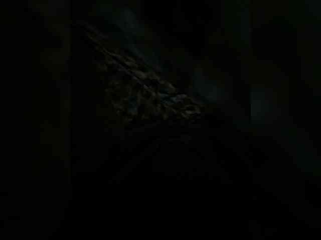 Darinaray9 webcam