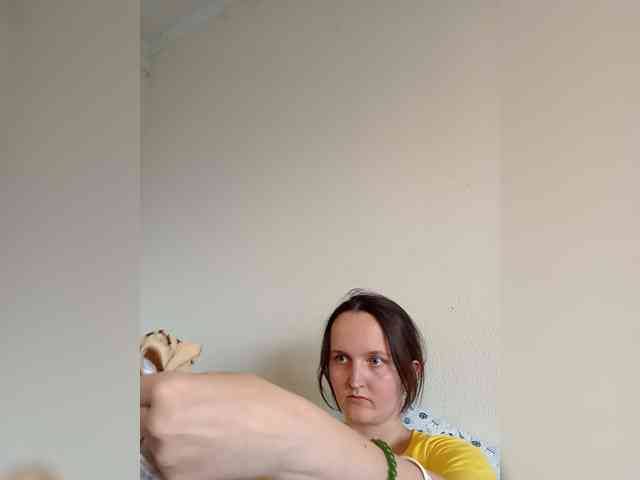 FunnyFu webcam