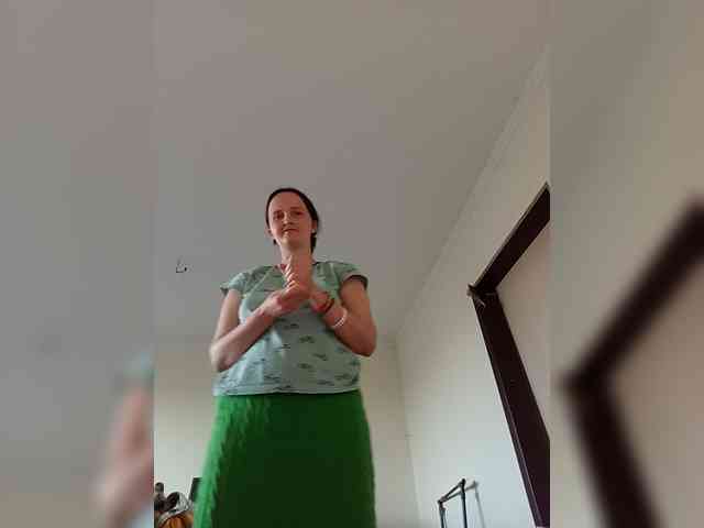 FunnyFu webcam
