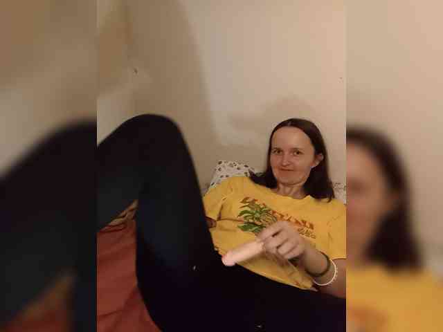 FunnyFu webcam
