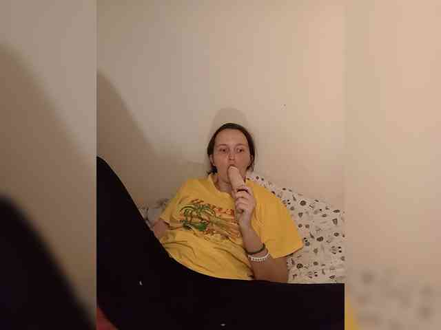 FunnyFu webcam