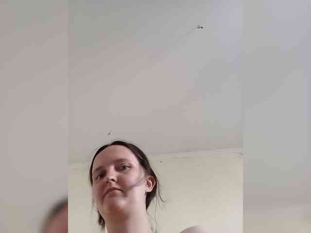 FunnyFu webcam