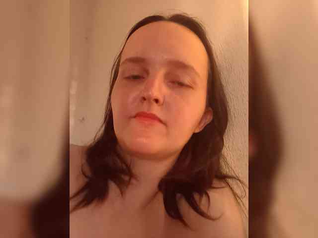 FunnyFu webcam