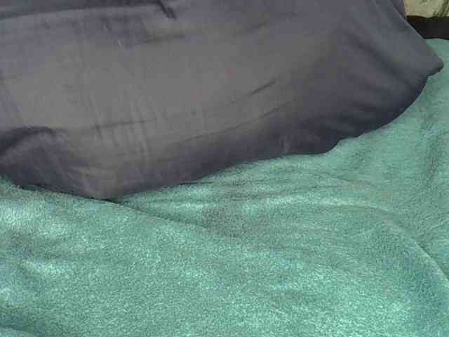 Applebae webcam