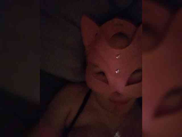 LevLeva webcam