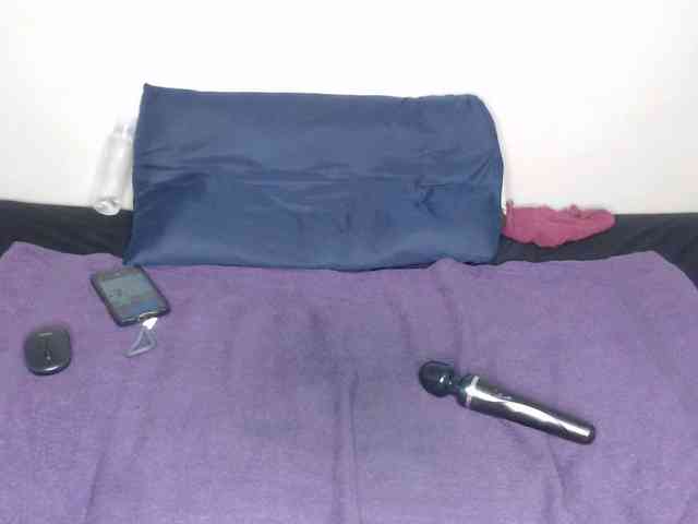 liztaylor webcam