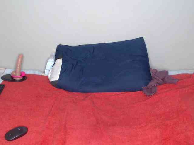 liztaylor webcam