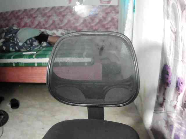 Elysa221 webcam