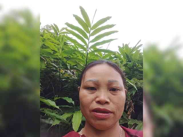 Oriana3 webcam